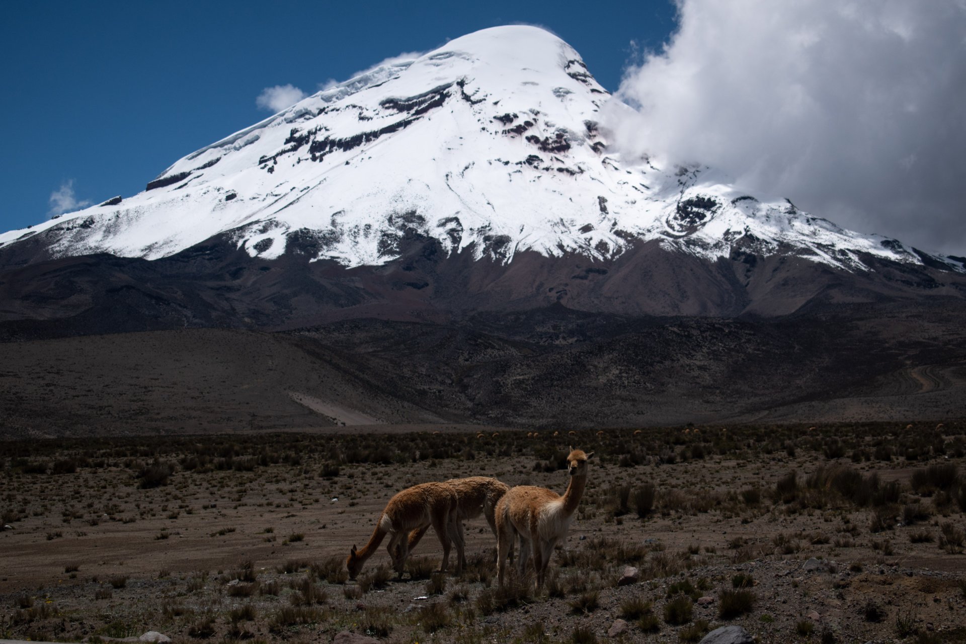 Chimborazo, Tour de un día completo