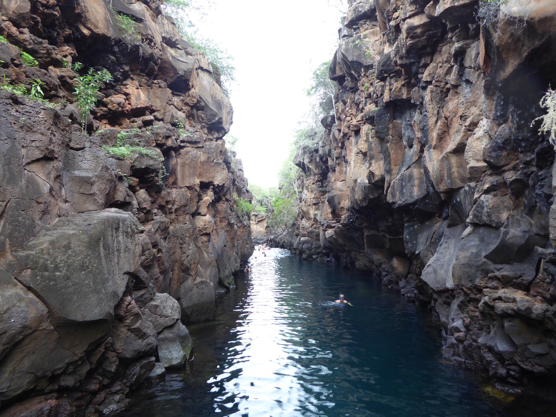 Galápagos, Tour de 5 días