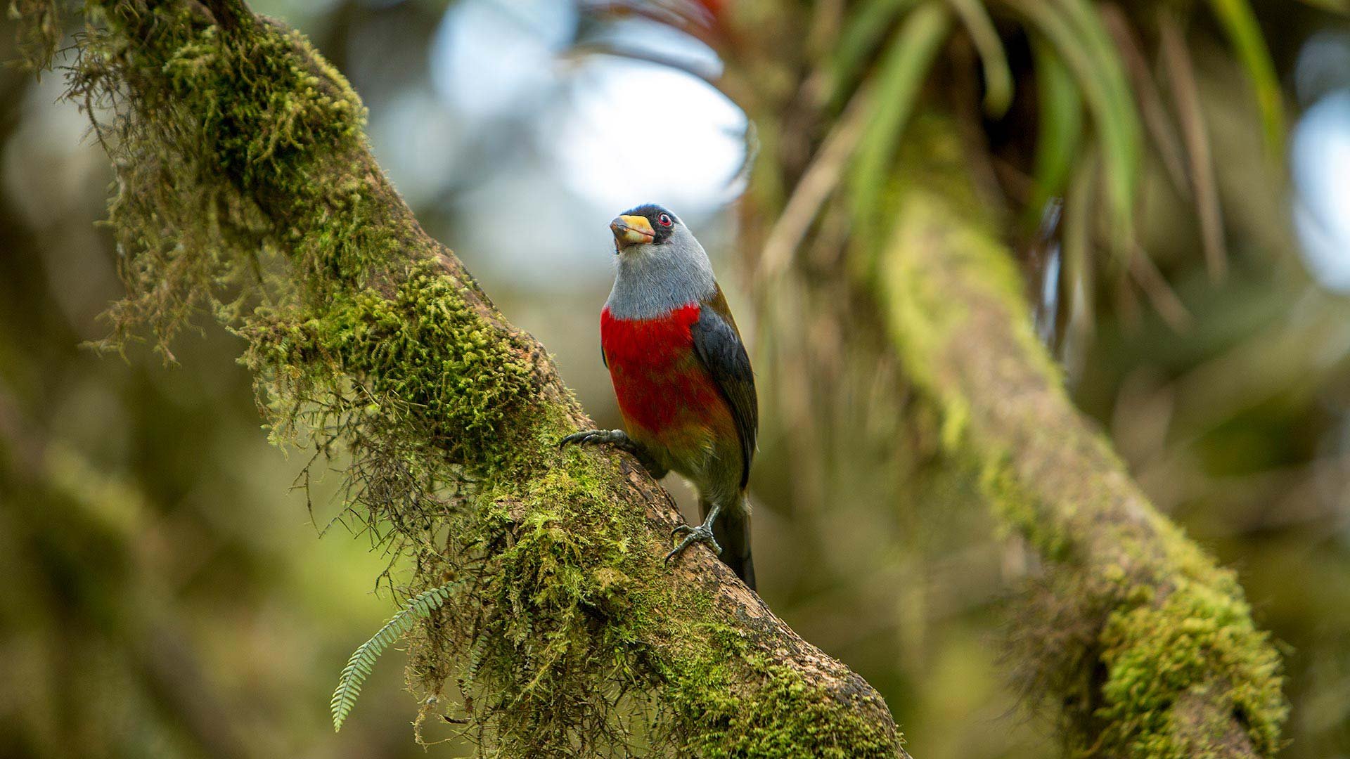 Mindo, Tour de un día completo