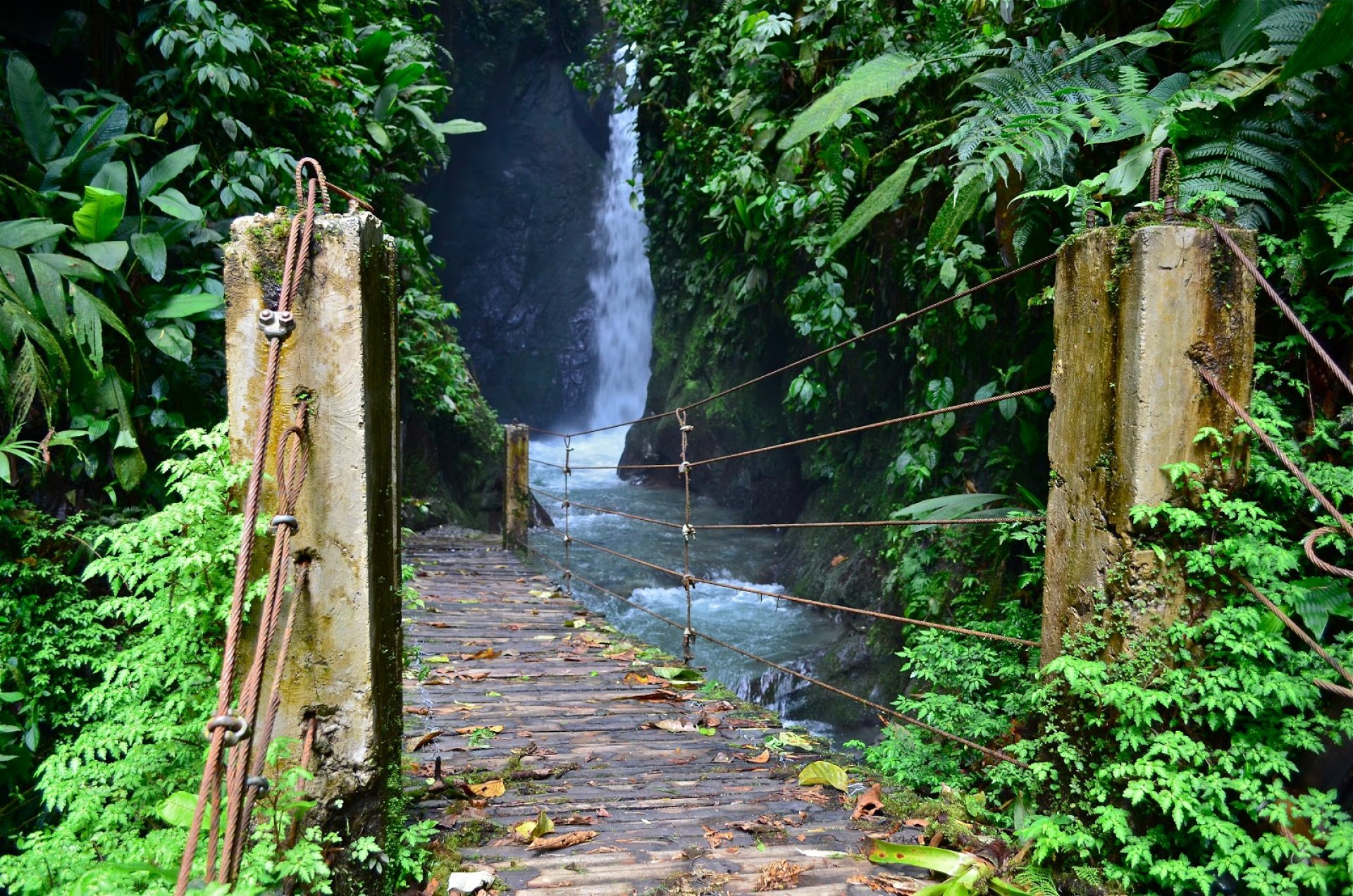 Mindo, Tour de un día completo