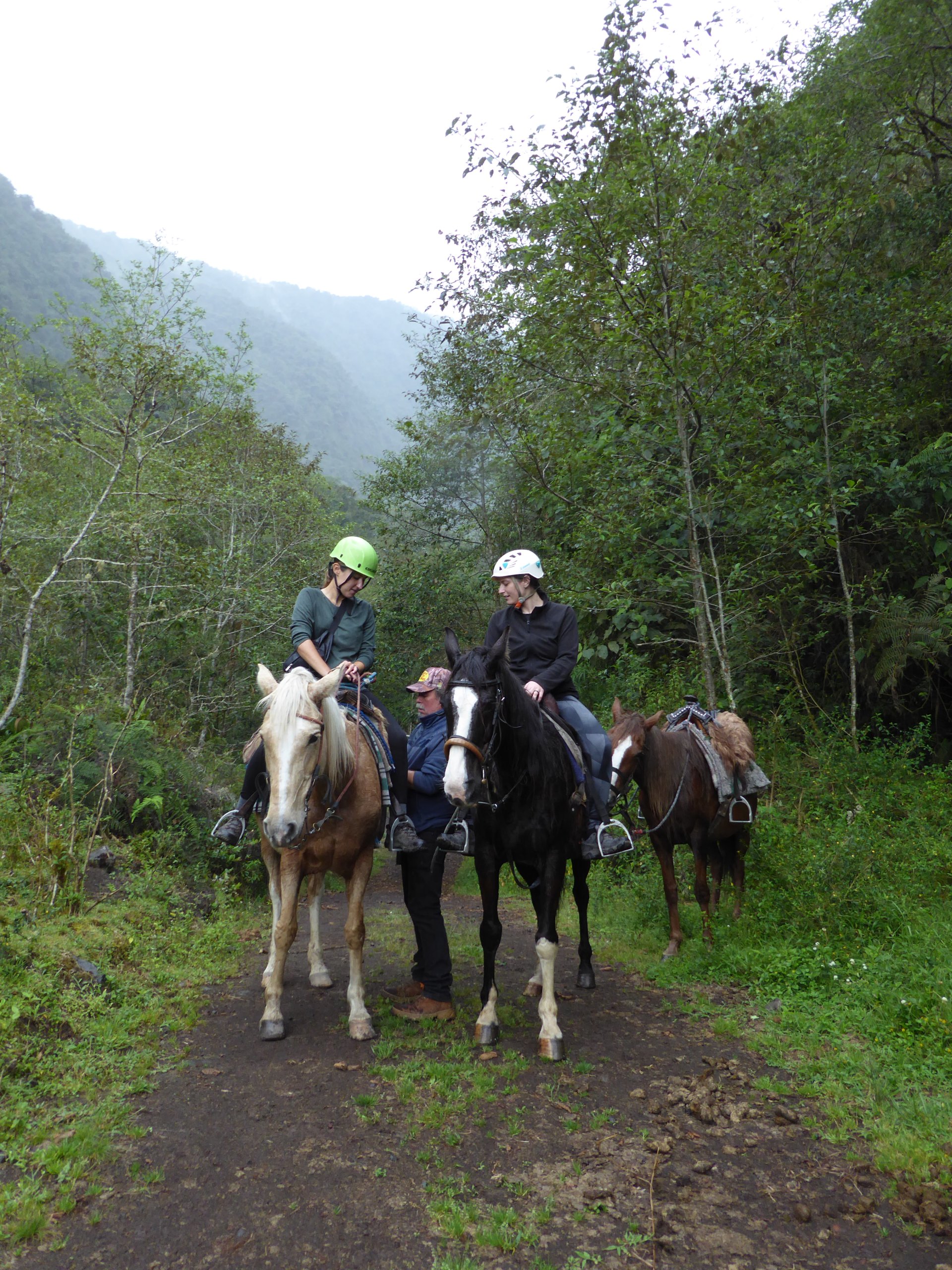 Paseo a caballo