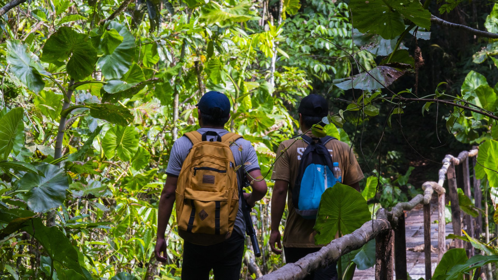 Yasuní­, Tour de días 3