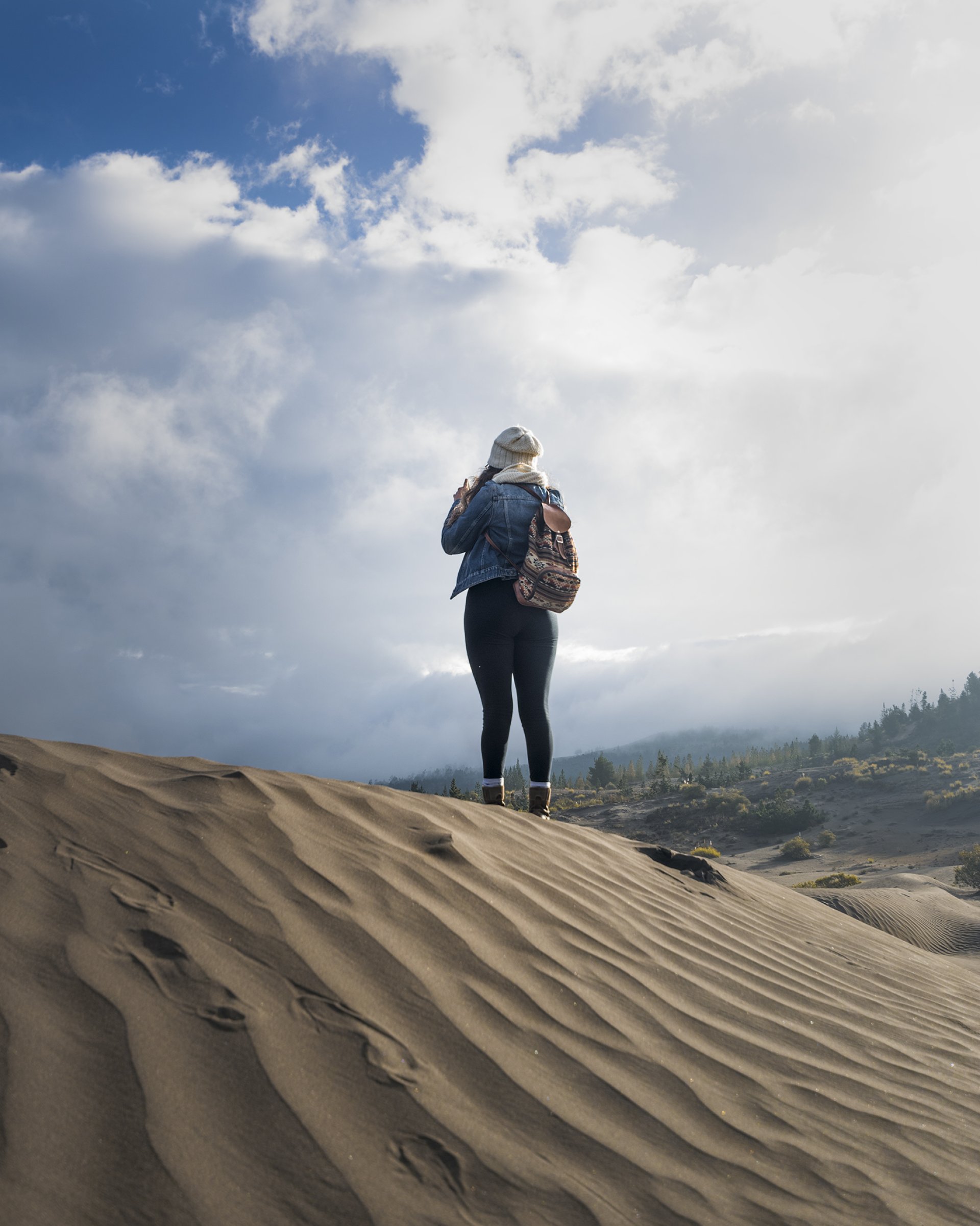 Ozogoche y desierto de Palmira, Tour de un día completo