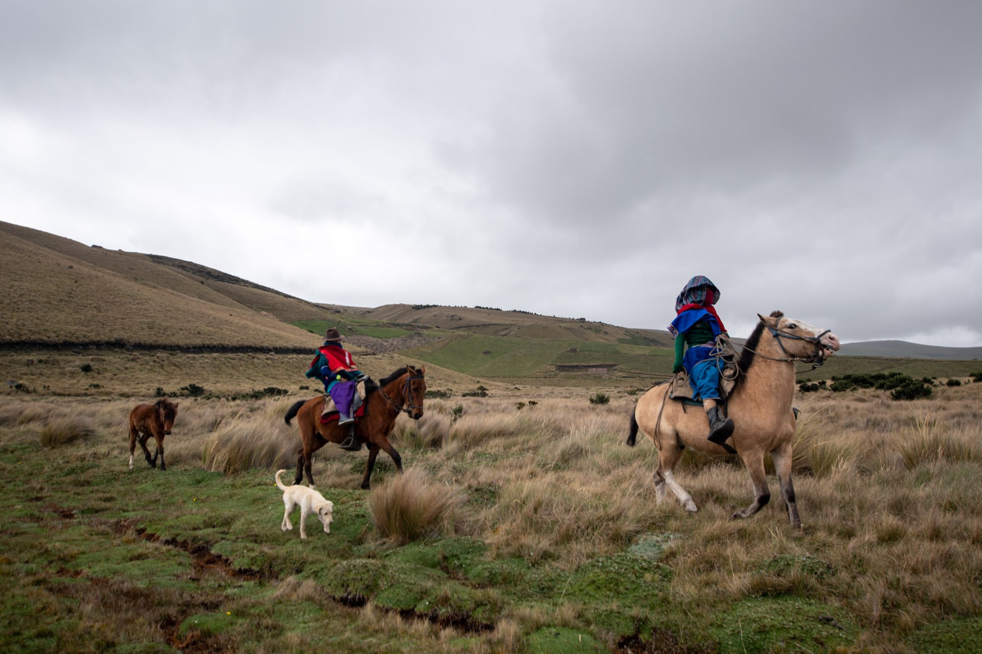 Ozogoche y desierto de Palmira, Tour de un día completo