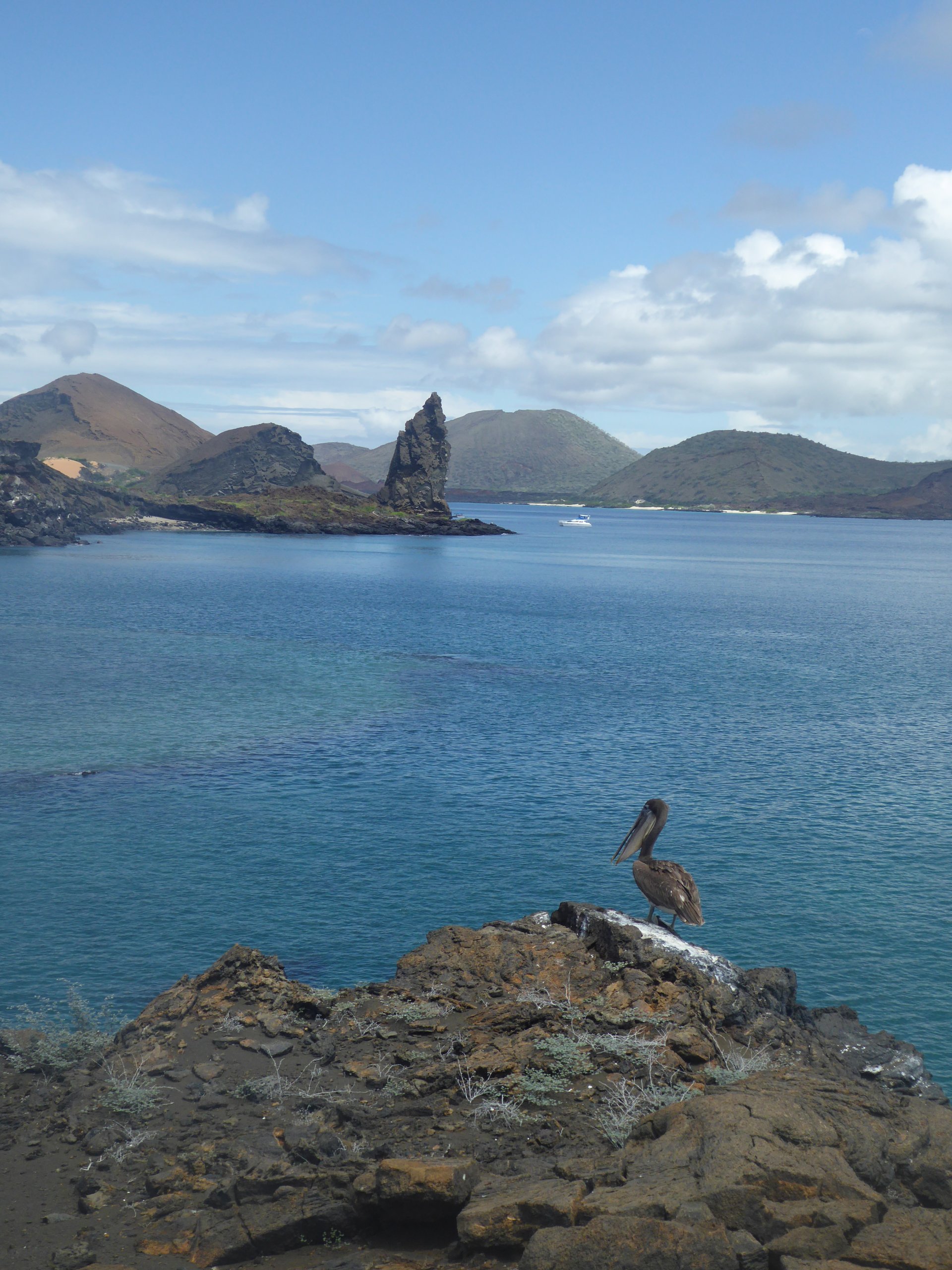 Galápagos, Tour de 5 días