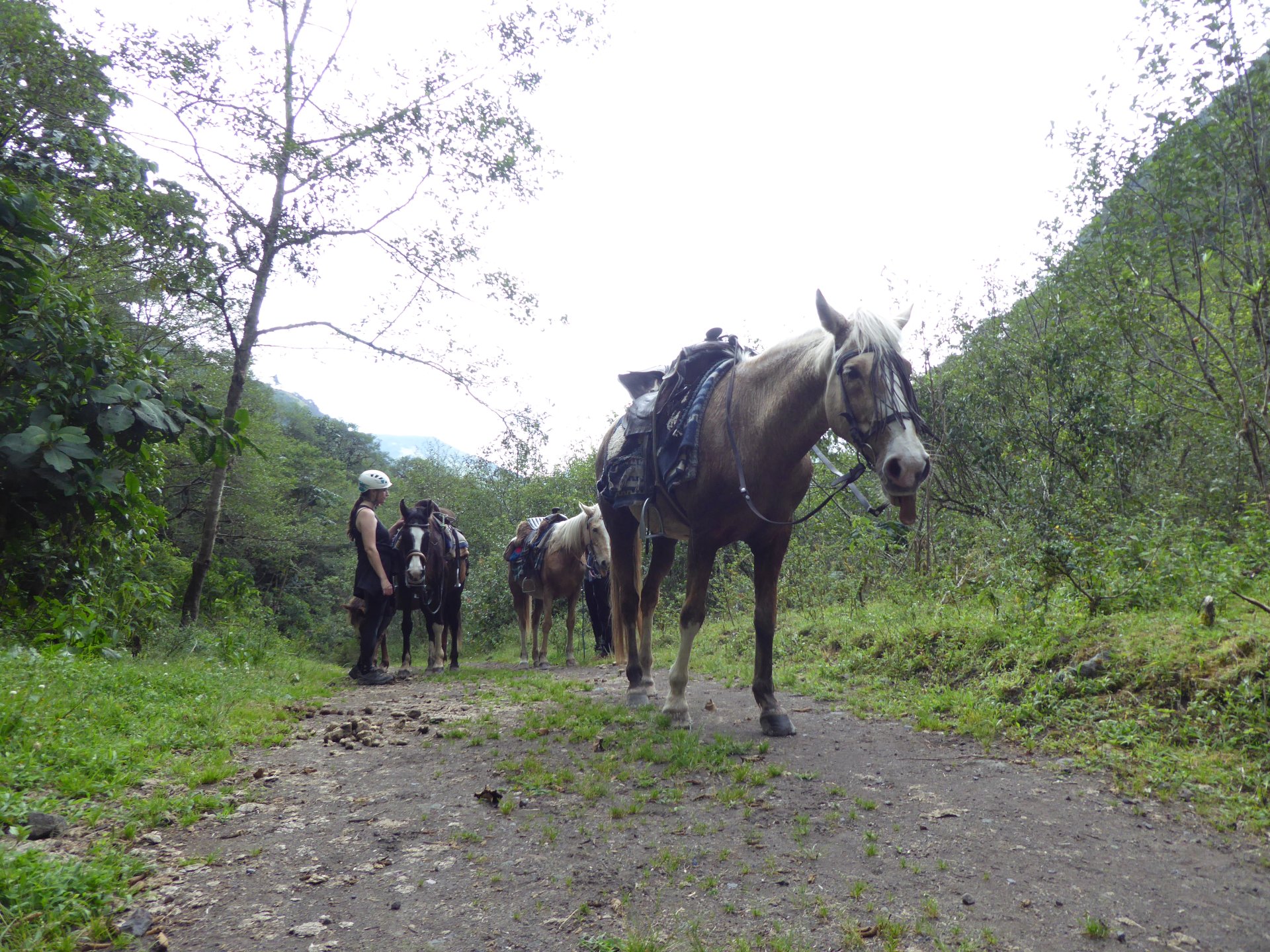 Paseo a caballo